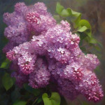 Миниатюра категории Сирень